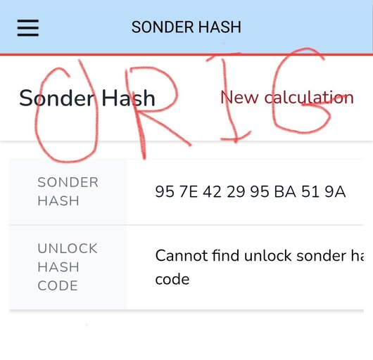 5465270413454675269.jpg
